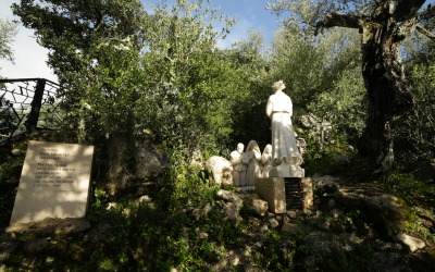 Dappled Things: Fatima and the Immaculate Heart of Mary